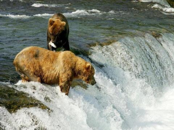 Alaska Kreuzfahrt Alaska Kreuzfahrt